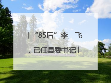 “85后”李一飞，已任县委书记