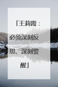 王莉霞：必须深刻反思、深刻警醒