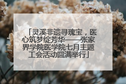 灵溪非遗寻瑰宝，医心筑梦绽芳华——张家界学院医学院七月主题工会活动圆满举行