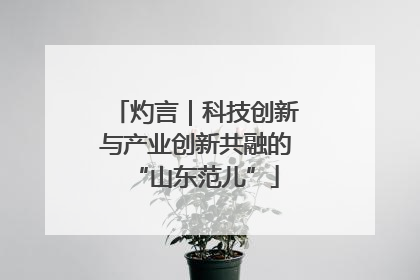 灼言｜科技创新与产业创新共融的“山东范儿”