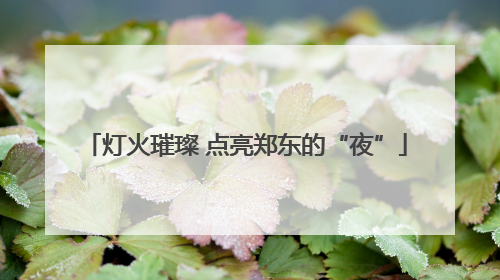 灯火璀璨 点亮郑东的“夜”