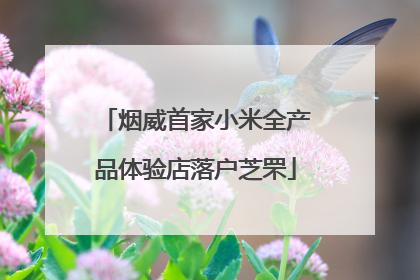 烟威首家小米全产品体验店落户芝罘