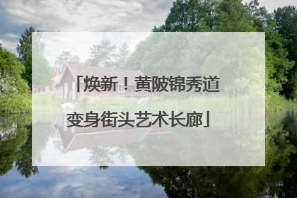 焕新！黄陂锦秀道变身街头艺术长廊