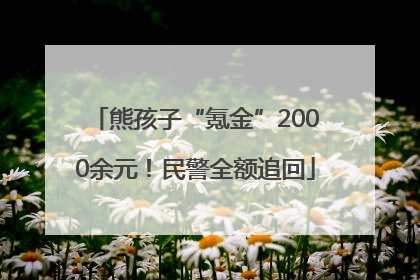 熊孩子“氪金”2000余元！民警全额追回