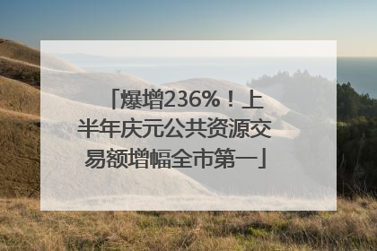 爆增236%！上半年庆元公共资源交易额增幅全市第一