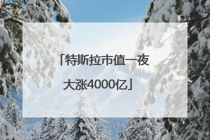 特斯拉市值一夜大涨4000亿