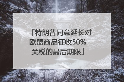 特朗普同意延长对欧盟商品征收50%关税的最后期限
