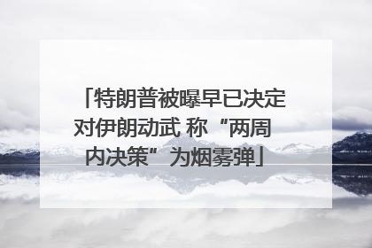 特朗普被曝早已决定对伊朗动武 称“两周内决策”为烟雾弹