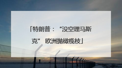 特朗普：“没空理马斯克” 欧洲抛橄榄枝