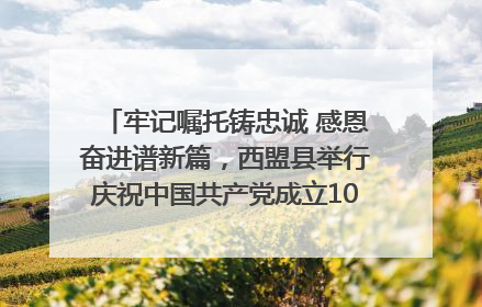 牢记嘱托铸忠诚 感恩奋进谱新篇，西盟县举行庆祝中国共产党成立104周年文艺晚会