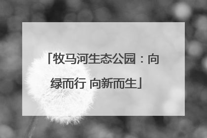 牧马河生态公园：向绿而行 向新而生