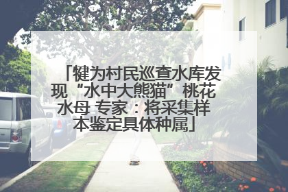 犍为村民巡查水库发现“水中大熊猫”桃花水母 专家：将采集样本鉴定具体种属