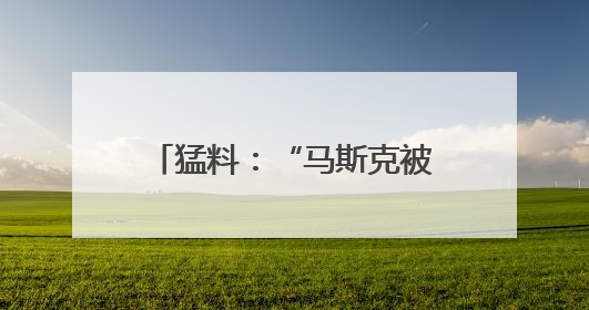 猛料：“马斯克被长期秘密监控！”