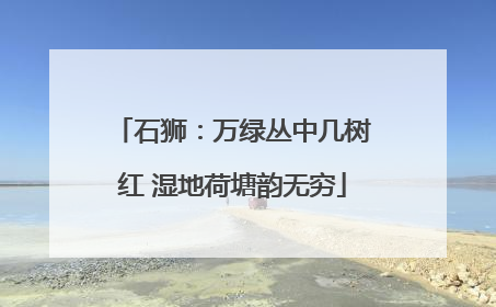 石狮：万绿丛中几树红 湿地荷塘韵无穷