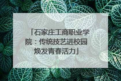 石家庄工商职业学院：传统技艺进校园焕发青春活力