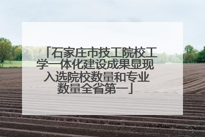 石家庄市技工院校工学一体化建设成果显现 入选院校数量和专业数量全省第一