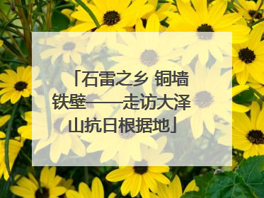 石雷之乡 铜墙铁壁——走访大泽山抗日根据地