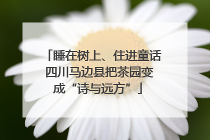 睡在树上、住进童话 四川马边县把茶园变成“诗与远方”