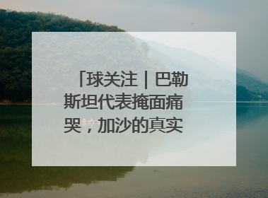 球关注｜巴勒斯坦代表掩面痛哭，加沙的真实现状让人痛心