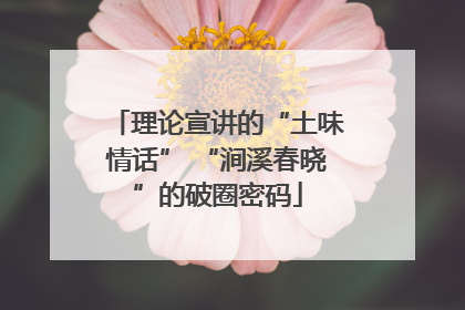 理论宣讲的“土味情话” “涧溪春晓”的破圈密码