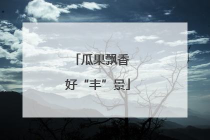 瓜果飘香 好“丰”景