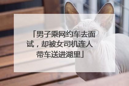 男子乘网约车去面试，却被女司机连人带车送进湖里