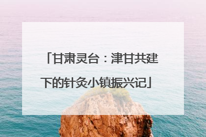 甘肃灵台：津甘共建下的针灸小镇振兴记