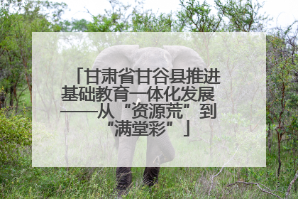 甘肃省甘谷县推进基础教育一体化发展——从“资源荒”到“满堂彩”