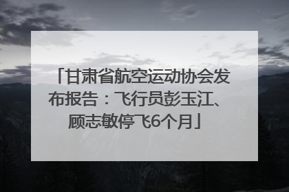 甘肃省航空运动协会发布报告：飞行员彭玉江、顾志敏停飞6个月