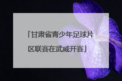 甘肃省青少年足球片区联赛在武威开赛