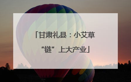 甘肃礼县：小艾草“链”上大产业