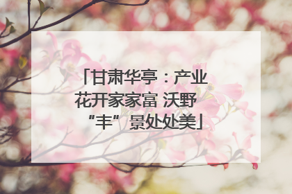 甘肃华亭：产业花开家家富 沃野“丰”景处处美