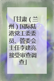 甘肃（兰州）国际陆港党工委委员、管委会主任李建亮接受审查调查