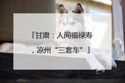 甘肃：人间福禄寿，凉州“三套车”