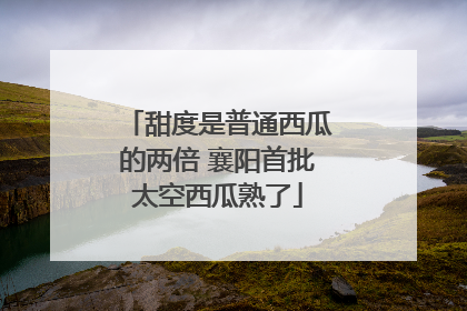 甜度是普通西瓜的两倍 襄阳首批太空西瓜熟了