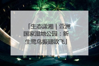 生态潇湘｜萱洲国家湿地公园：新生鹭鸟振翅欲飞