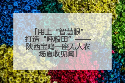 用上“智慧眼” 打造“吨粮田”——陕西宝鸡一座无人农场夏收见闻
