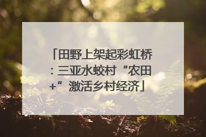 田野上架起彩虹桥：三亚水蛟村“农田+”激活乡村经济