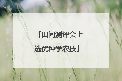田间测评会上选优种学农技