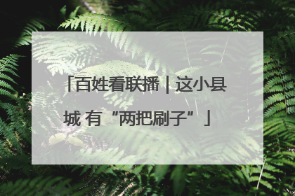 百姓看联播｜这小县城 有“两把刷子”