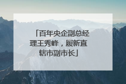 百年央企副总经理王秀峰，履新直辖市副市长
