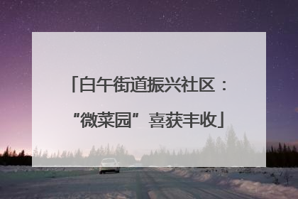 白午街道振兴社区：“微菜园”喜获丰收
