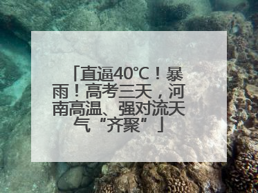 直逼40℃！暴雨！高考三天，河南高温、强对流天气“齐聚”
