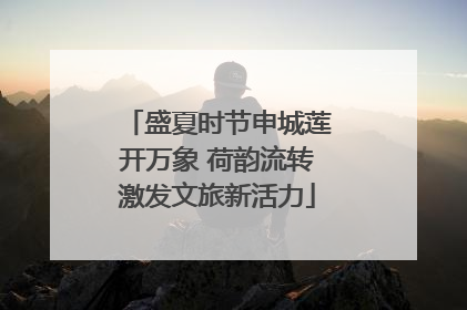 盛夏时节申城莲开万象 荷韵流转激发文旅新活力