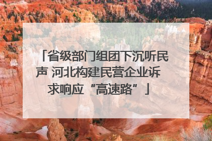 省级部门组团下沉听民声 河北构建民营企业诉求响应“高速路”