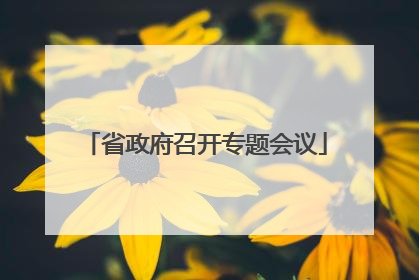 省政府召开专题会议