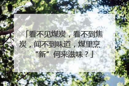 看不见煤炭，看不到焦炭，闻不到味道，煤里烹“新”何来滋味？