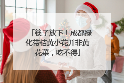 筷子放下！成都绿化带桔黄小花并非黄花菜，吃不得