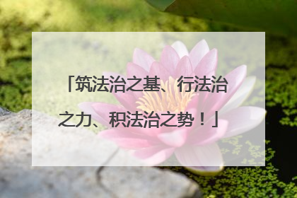 筑法治之基、行法治之力、积法治之势！