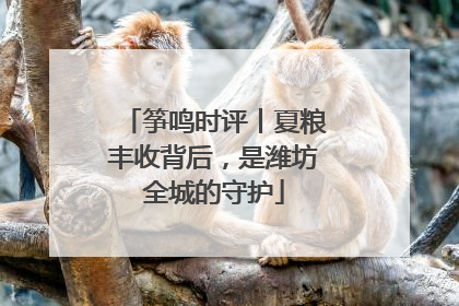 筝鸣时评丨夏粮丰收背后，是潍坊全城的守护